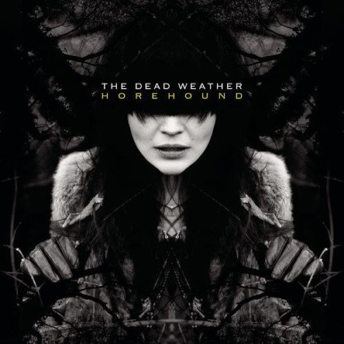 The Dead Weather's Horehound